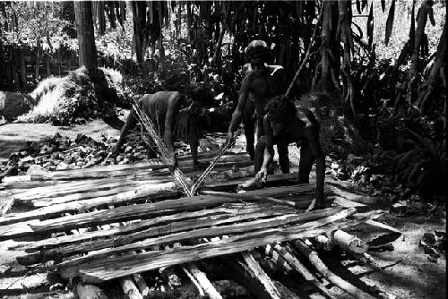 Michael Rockefeller negatives, New Guinea