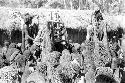 Weaké's funeral; Molaré standing; pia