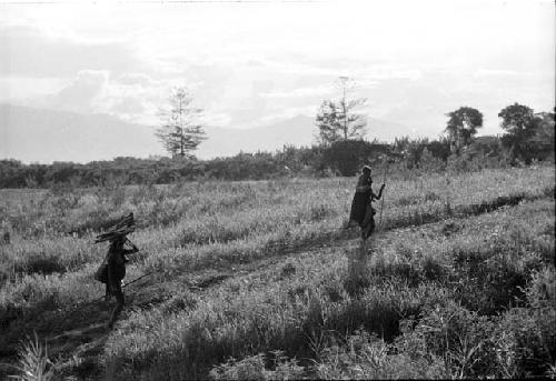 Women walking the salt trail