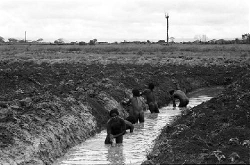 Men working on irrigation ditch