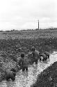 Men working on irrigation ditch