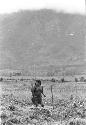 Woman working in fields