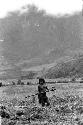 Woman working in fields