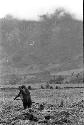 Woman working in fields