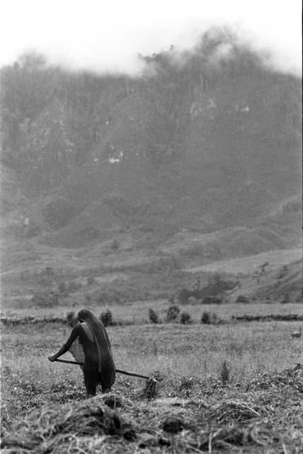 Woman working in fields