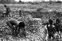 Men working in ditch