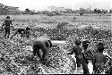 Men working in ditch