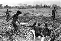 Men working in ditch