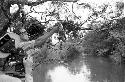 Gardner and Matthiessen adjusting cormorants