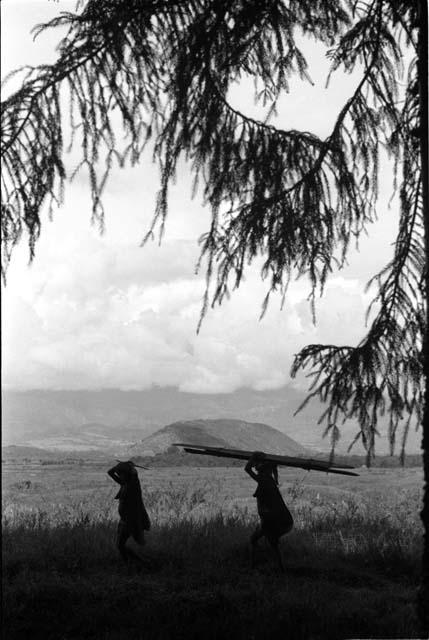 Women carrying loads