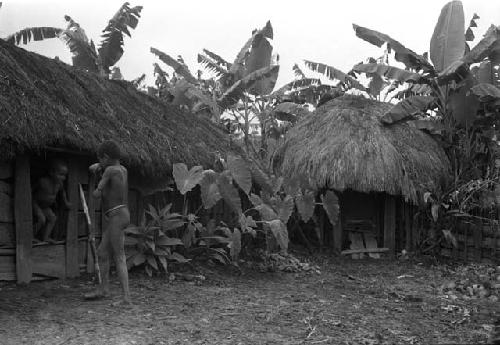 Uwar watches Natolek jump out of the honai