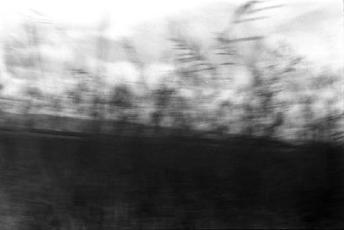 Grass-- blurred