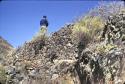 Person standing on top of standing walls at Pinit (U2343)