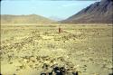 Between Cerros Cabra & Prieto/ Moche site, cobble structures