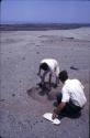 Crew at work excavating test pits in the loose dry sand at preceramic midden site on Alto de Salaverry. Andres Castillo and Michael Moseley shown at work at the site.