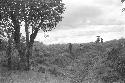 People standing in field