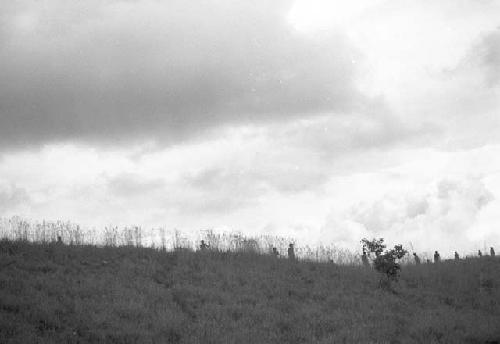 Men in field in the distance