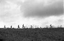 Men in the field with poles