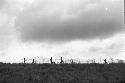 Men in the field with poles