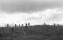 Men in the field with poles