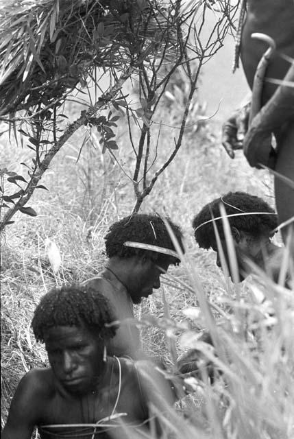 Four men in the tall grass