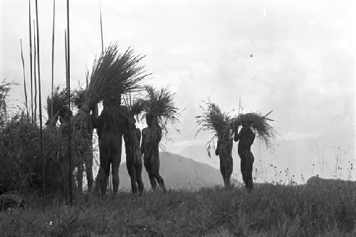 Men standing with bundled stalks