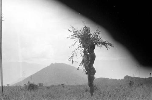 Man standing carrying stalks