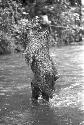 Man standing in rover covered in a net