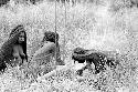 Women sitting in grass