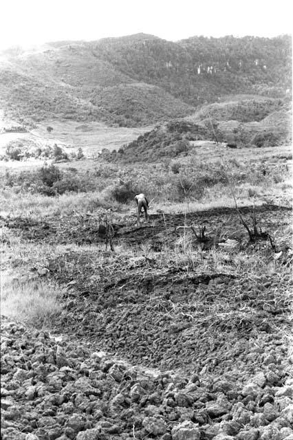 Man working in Werene's garden