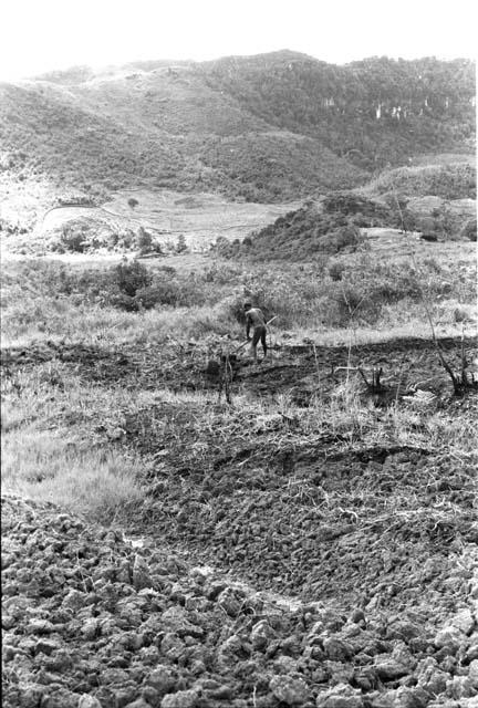 Man working in Werene's garden