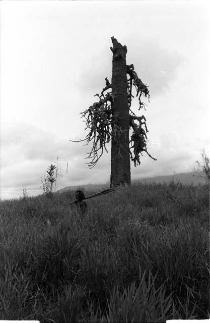 Two warriors walk past the Mapiliama