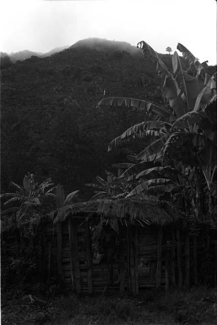 Person walking out of the sili of Abukulmo