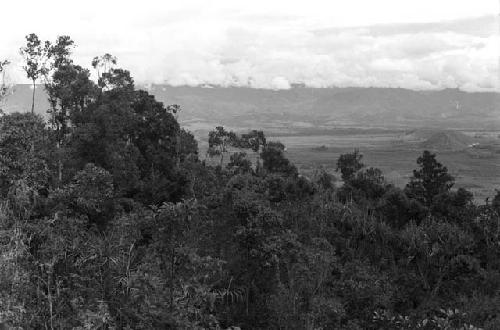 The forest below Lokoparek