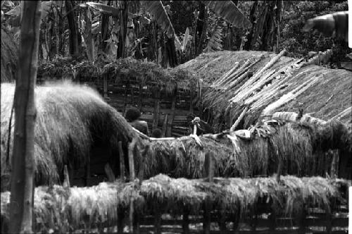 Women working in the sili