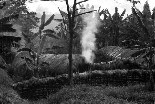 Women working in the sili