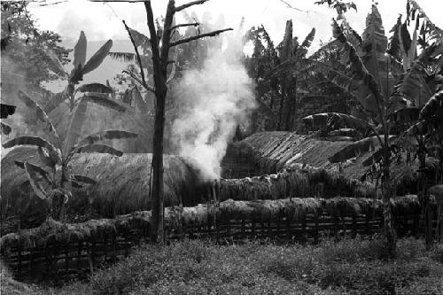 Women working in the sili