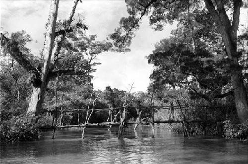 Wittaia crossing the Aikhé River