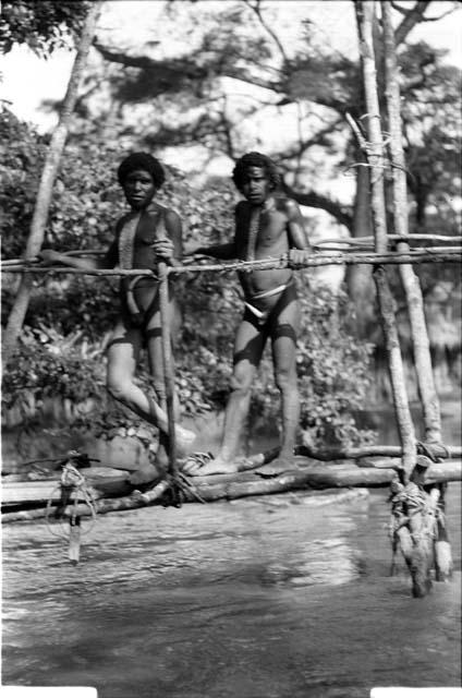 Wittaia man crossing a bridge