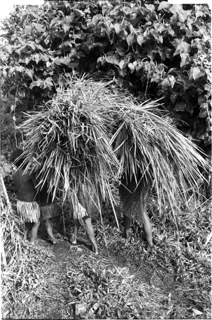 Women and children carrying bundles of thatch