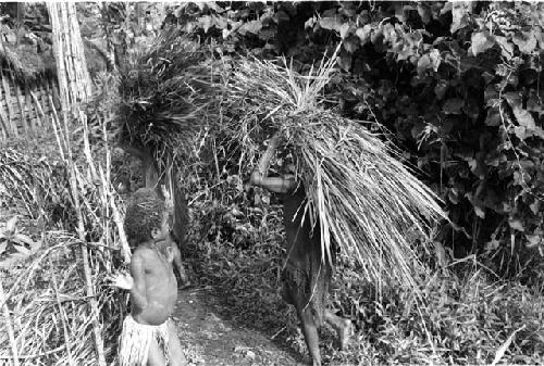 Nylare watches as women pass