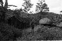 Woman with thatch on her head