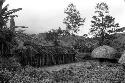 People approaching the hunu with thatch