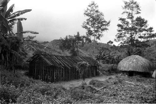 People approaching the hunu with thatch