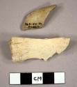 Miscellaneous bone fragments