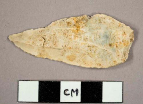 Flint backed blade of "Chatelperron" type