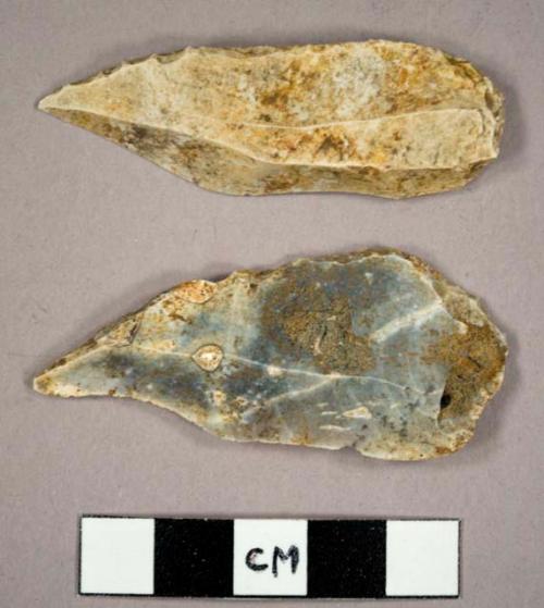 2 flint backed blades of "Chatelperoon" type