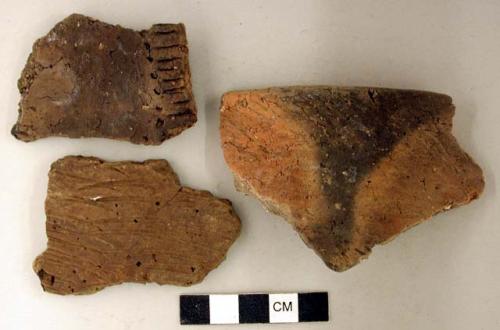 Coarse earthenware body and rim sherds, one incised and punctate, one cord impressed, one rocker incised