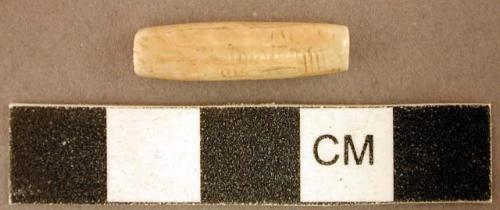 Worked animal bone tube, possible bead, with cut marks or incised lines