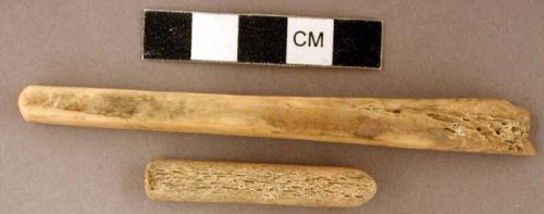 Worked animal bone objects, cylindrical, one with two rounded ends, one with one rounded end and one flattened end